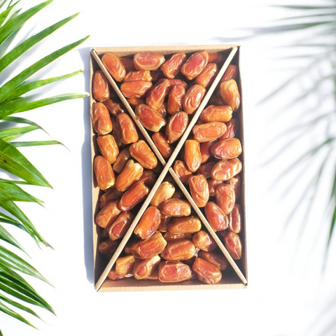 صقعي عادي جامبو لين